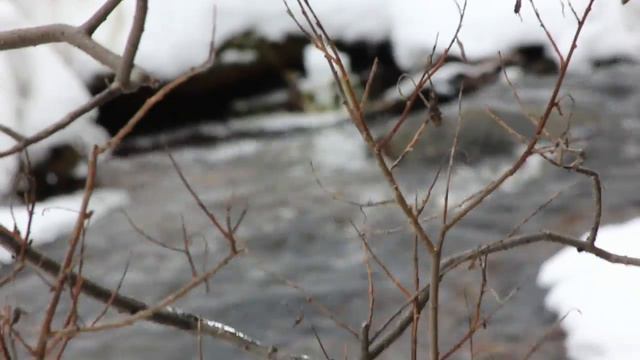 Step by step #2 Таганай. Нижняя тропа. смотреть онлайн