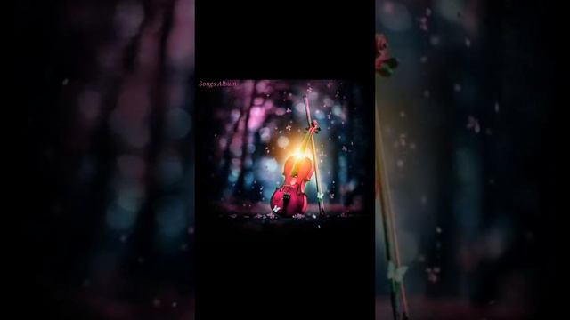 Dynamitee~ Beautiful _Violin_cover||Wonderful_Sound_Of_This
