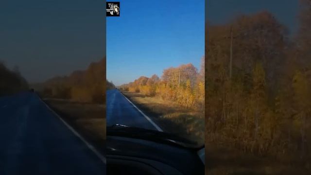 Сказка о царе Салтане смотреть онлайн