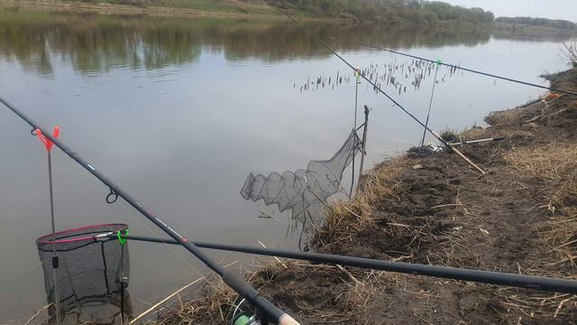 Рыбалка 2023. Река Дон. Место для души. смотреть онлайн