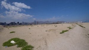 Море в Арабских Эмиратах?  НЕТ - ИНДИЙСКИЙ ОКЕАН  Пляж Umbrella в Фуджейре