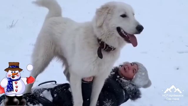 Зимние приколы ! Зимние забавы и развлечения ! Winter Jokes ! Winter Fun !