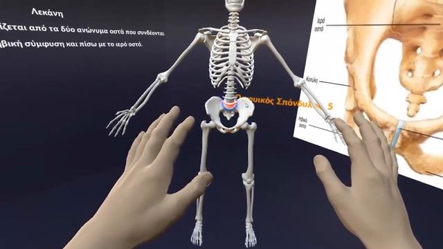 VR Human Anatomy - GET Lab смотреть онлайн