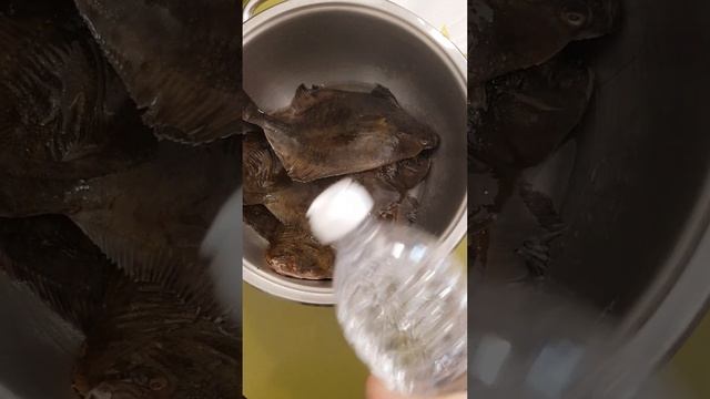 Как убрать рыбный запах камбалы. смотреть онлайн