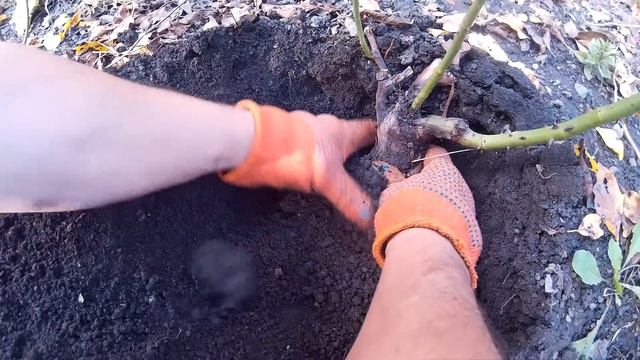 Готовка на Пикнике и Отдых на Природе