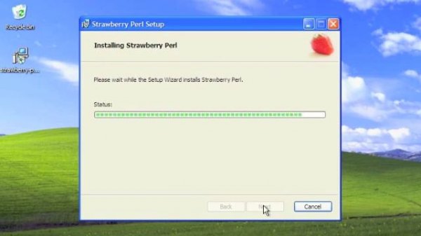 Installing Strawberry Perl on Windows
