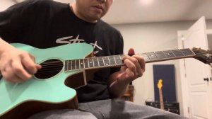 Ibanez Talman acoustic guitar demo TCY-10E