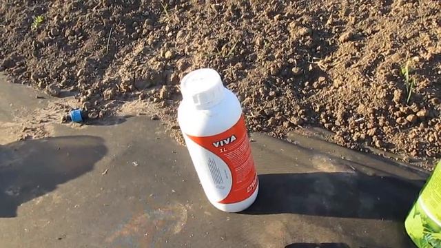 Такая подкормка клубники во время цветения завалит вас ягодами смотреть онлайн