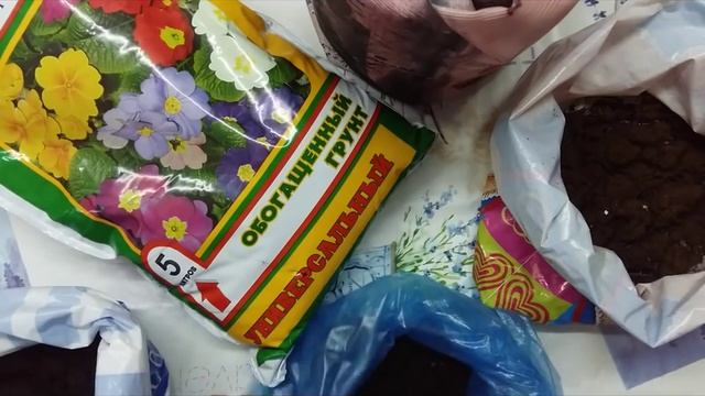 Обеззараживание почвы для рассады. Двойная заморозка. смотреть онлайн