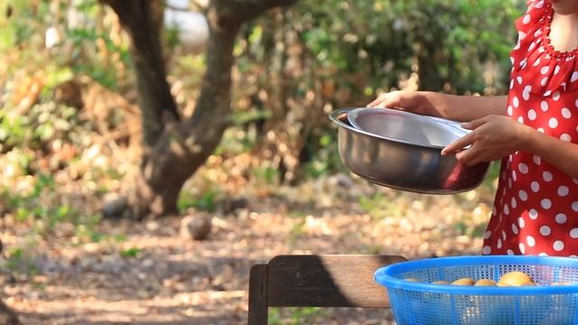 Harvest Sapodilla Fruit / My Childhood Sapodilla Fruit Recipe / Prepare By Countryside Life TV. смотреть онлайн