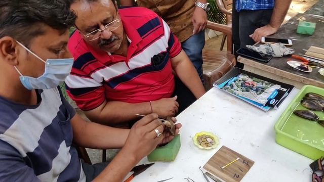 Pearl Farming training in Nagpur Maharashtra | 7057700035 | смотреть онлайн