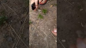 Краш тест кнопочного телефона alcatel onetouch