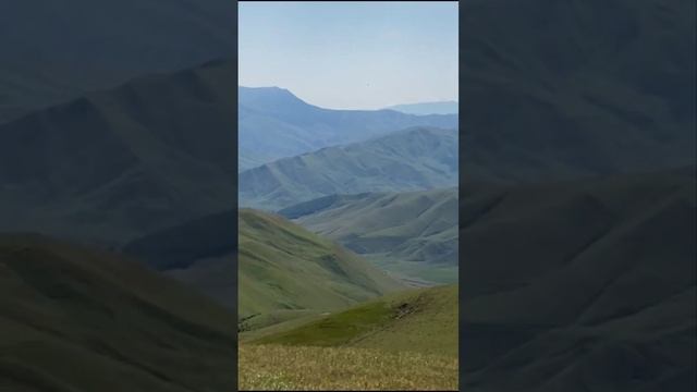 Горы Дагестана. Лошади в горах. Олени. Котик-Бенгал. Горный Тур. Дети и родители в животном мире?. смотреть онлайн
