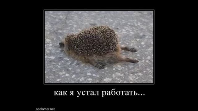 Прикольные картинки (галерея). ЧАСТЬ 2. смотреть онлайн