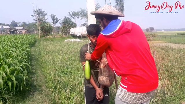 Must Watch New Tui Tui Funny Video Top New Comedy Video By Funny Day Pro