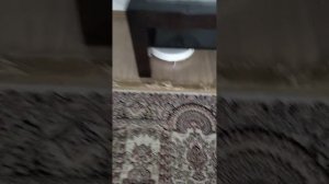 Xiaomi Mi Mijia Robot Vacuum Mop 3C B106CN робот-пылесос 3 серия - говорим по русски