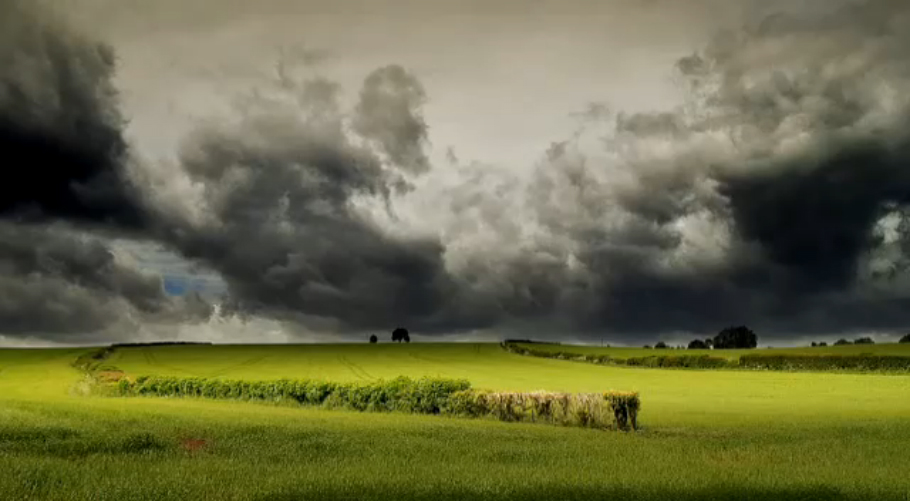 John Mayal - Tough Times Ahead смотреть онлайн