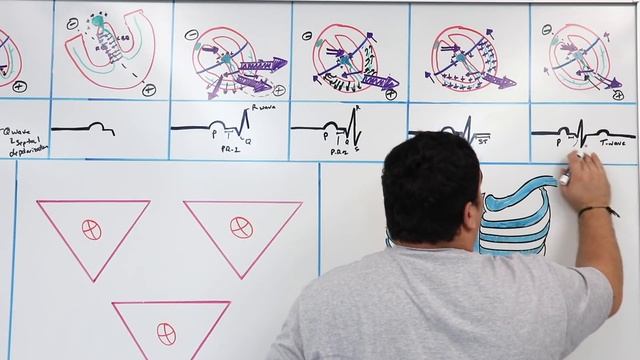 Cardiovascular | EKG Basics смотреть онлайн