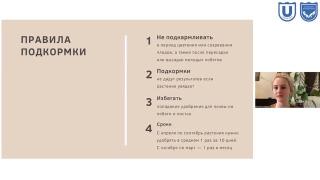 Комнатные растения. Шабаева Н.Е. смотреть онлайн