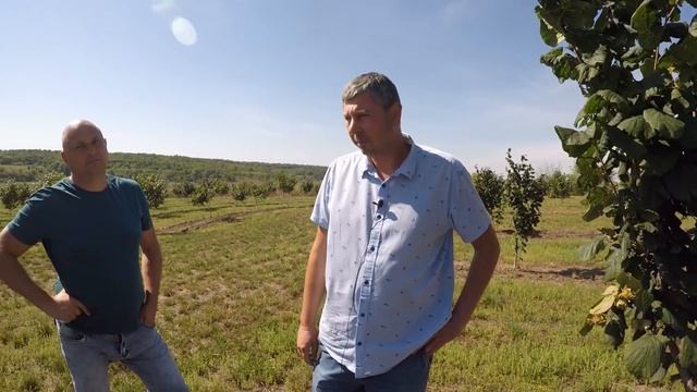 Зарабатывать больше, а работать меньше. Ореховый сад смотреть онлайн