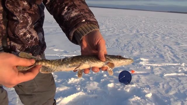 Рыбалка на жерлицы. Палатка куб 2 Следопыт. смотреть онлайн
