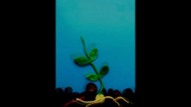развитие растений из семени смотреть онлайн