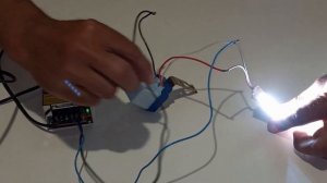 Защита домашней птицы от куницы,ласки,хорька Защита кур от хищника