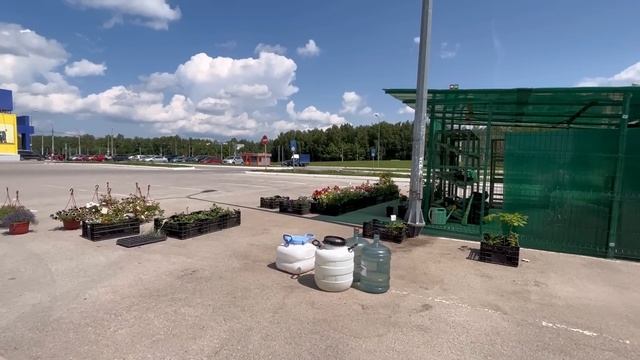 Что продавалось на ура, а что пошло в компост. Итоги рассадного сезона!!!