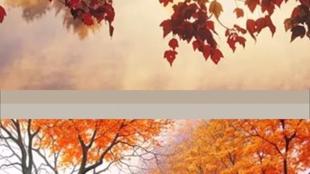 осень осень раз два три ты нам краски подари смотреть онлайн