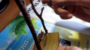 дедовская ловушка на рябчика