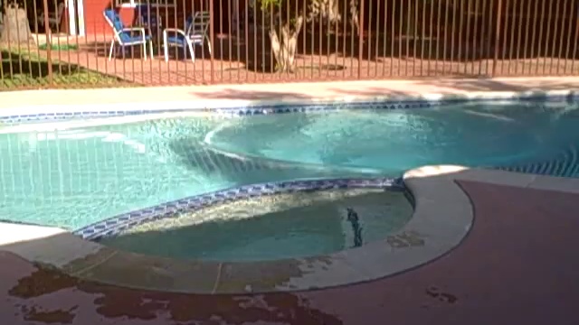 Тетя в бассейне смотреть онлайн