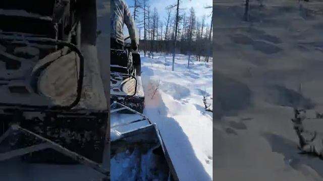 охота на глухаря, река Джедагар 2019 смотреть онлайн