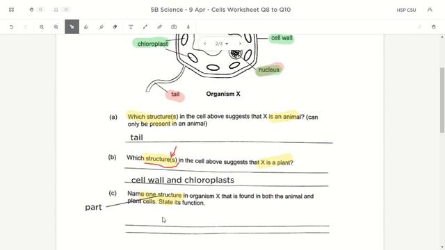 13 Apr - Going through answers for Cells Worksheet Q8 to Q10 смотреть онлайн