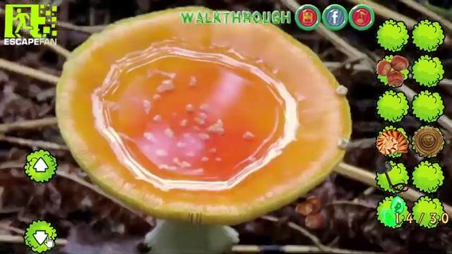 Mysterious Mushroom Forest Escape Walkthrough смотреть онлайн
