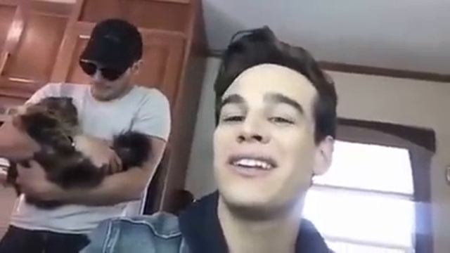 Dom crashing Alberto's live chat to see Stella. смотреть онлайн