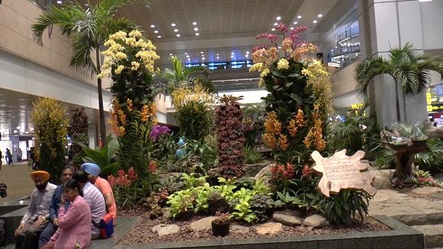 Сингапурский аэропорт Чанги (Singapore Changi Airport)