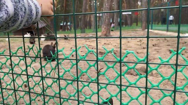 Куда поехать на выходные в Самаре с детьми - Загородный комплекс Русская Охота.Обзор, стоит ли ехат смотреть онлайн