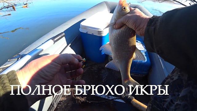 Опа, есть! Безкивковая удочка,что за "зверь"такой? Реально работает! смотреть онлайн