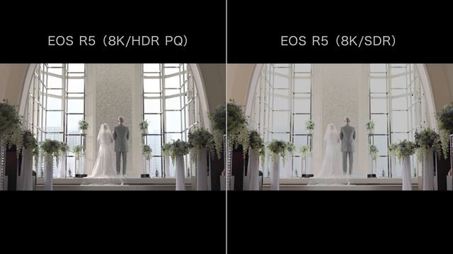 [8K HDR] Introducing the EOS R5 movie functionality (Canon Official) смотреть онлайн