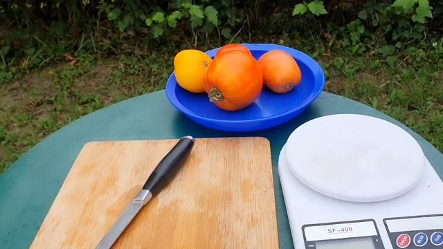 Выбираем самый вкусный .ТОМАТЫ смотреть онлайн