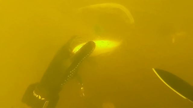 Найден iPhone 8 в защитном чехле под водой во время подводного плавания в реке! смотреть онлайн