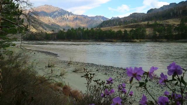 London - Altai Mountains, Russia Travel | Лондон - Горный Алтай Путешествие смотреть онлайн