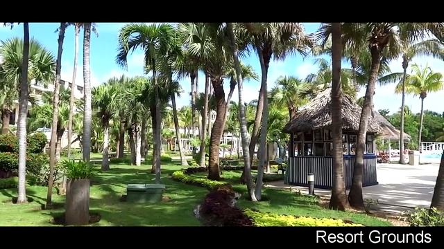 Sol Palmeras Varadero All-Inclusive Resort - Cuba Vacation смотреть онлайн
