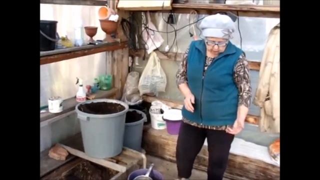 Как подготовить почву для цветочной рассады с осени. Марценюк Надежда смотреть онлайн