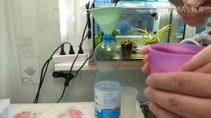 Растительный аквариум. Рецепт браги для генерации СО2.