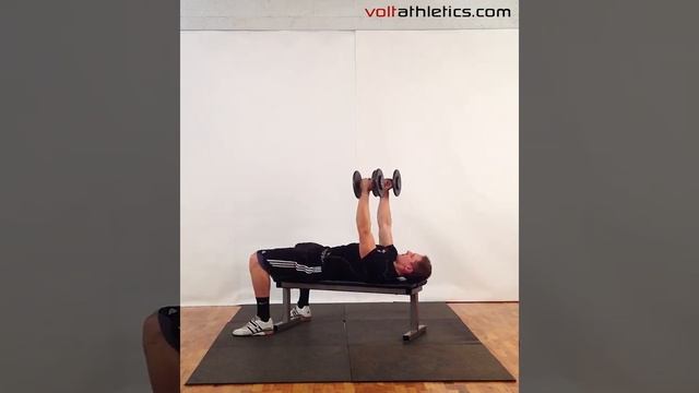 DB Eccentric Fly | Volt Athletics смотреть онлайн