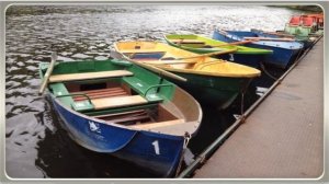 Рекомендации населению по действиям при угрозе и во время наводнения. Видеоурок по ОБЖ 7 класс