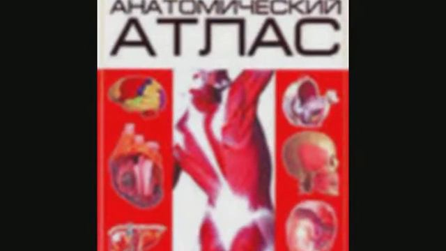 олух книга Полякова смотреть онлайн