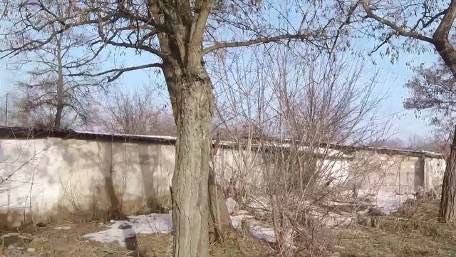 Шахтерский город. Желтые Воды. Февраль 2019. смотреть онлайн